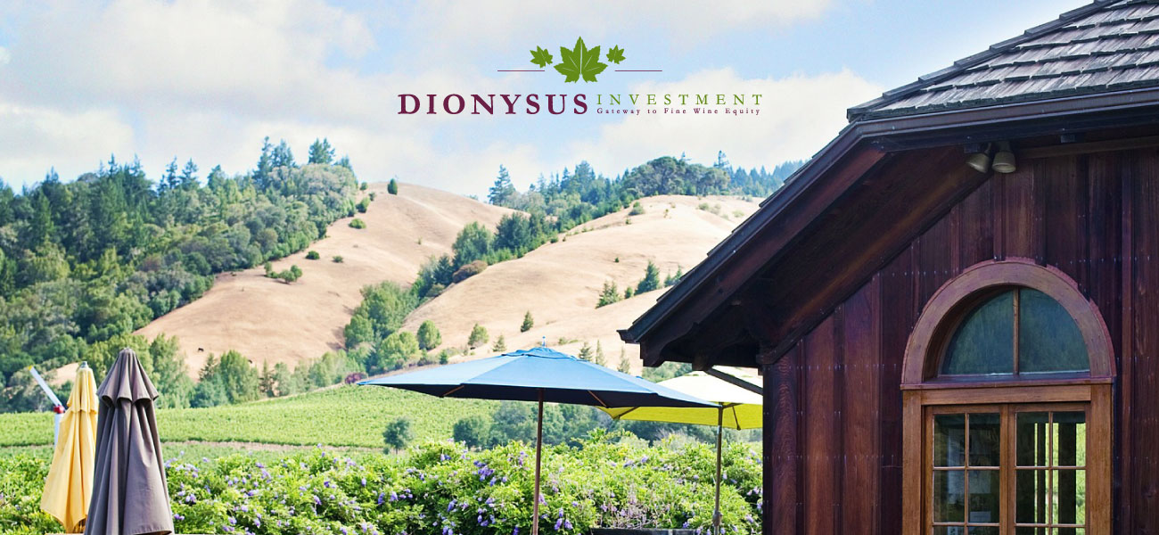 dionysus fine wine identity